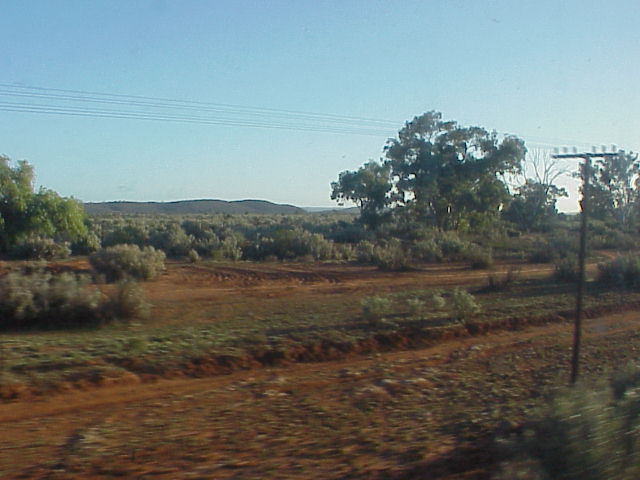 NSW BORDER INDIANPACIFIC.JPG 49.3K