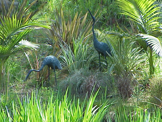 BIRDS ON LAKE.JPG 118.4K