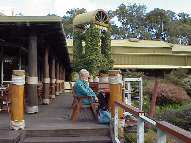 LEEUWIN VINEYARD MARGARET RIVER.JPG 84.4K