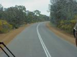 WFLOWER WATTLE HIGHWAY.jpg 3.3K