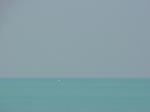 GREEN SEA CIRCLING TO BROOME.jpg 1.1K